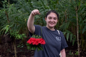 Zanzibar: Spice Farm Tour