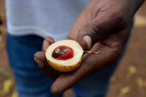 Zanzibar: Spice Farm Tour