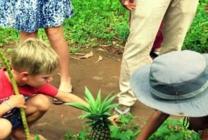 Zanzibar: visita a uma quinta de especiarias