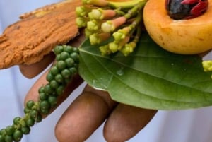 Zanzibar: visita a uma quinta de especiarias