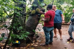 Zanzibar : visite d'une ferme d'épices et visite à pied de Stone Town