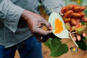 Zanzibar : visite d'une ferme d'épices et visite à pied de Stone Town