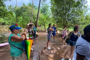 Zanzibar: Kryddgård och stenstadstur med lunch