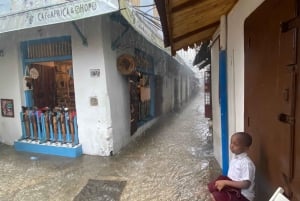 Zanzibar: Kryddgård och stenstadstur med lunch