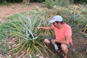 Zanzibar: Kryddgård och stenstadstur med lunch