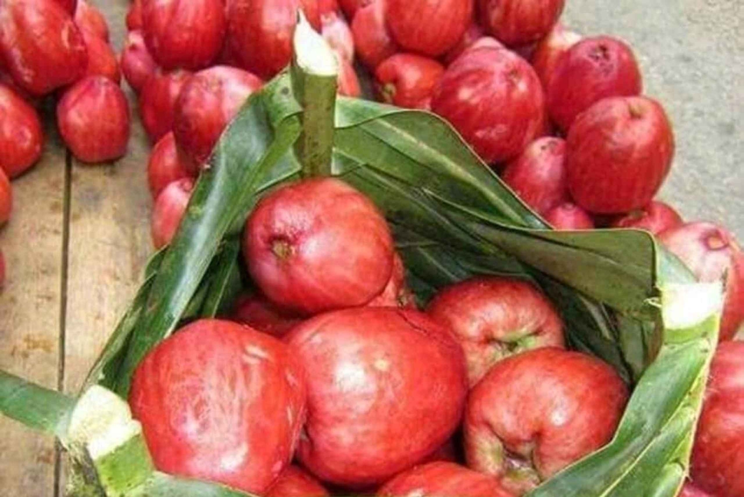 Zanzibar: Farma przypraw z lokalnym przewodnikiem i degustacją przysmaków