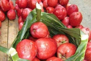 Zanzibar: Farma przypraw z lokalnym przewodnikiem i degustacją przysmaków