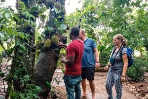 Zanzibar: Quinta de especiarias com degustação e restaurante The Rock