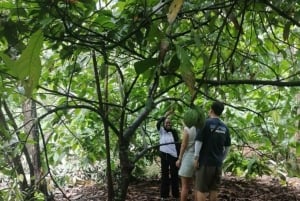 Zanzibar: Quinta de especiarias com degustação e restaurante The Rock