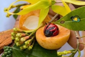 Zanzibar: Quinta de especiarias com degustação e restaurante The Rock