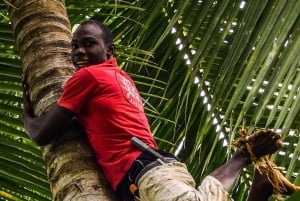 Экскурсия по пряным травам Занзибара и кулинарный мастер-класс с обедом, трансфер включен