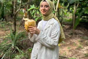 Экскурсия по пряным травам Занзибара и кулинарный мастер-класс с обедом, трансфер включен