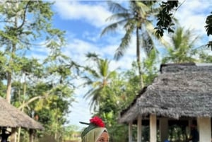 Экскурсия по пряным травам Занзибара и кулинарный мастер-класс с обедом, трансфер включен