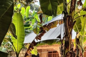 Экскурсия по пряным травам Занзибара и кулинарный мастер-класс с обедом, трансфер включен