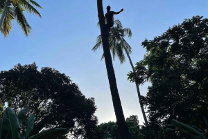 Экскурсия по пряным травам Занзибара и кулинарный мастер-класс с обедом, трансфер включен