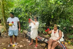 Zanzibar: Kryddertur, Stone Town og Prison Island med lunsj