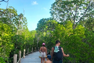 Zanzibar: Kryddtur och mangrovekryssning i solnedgången