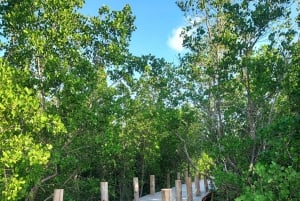 Zanzibar: Kryddtur och mangrovekryssning i solnedgången