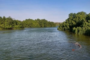 Zanzibar: Kryddtur och mangrovekryssning i solnedgången