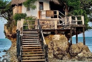 Zanzibar: Specerijen Tour, Jozani-bos, Zeeschildpadden & Rock Restaurant
