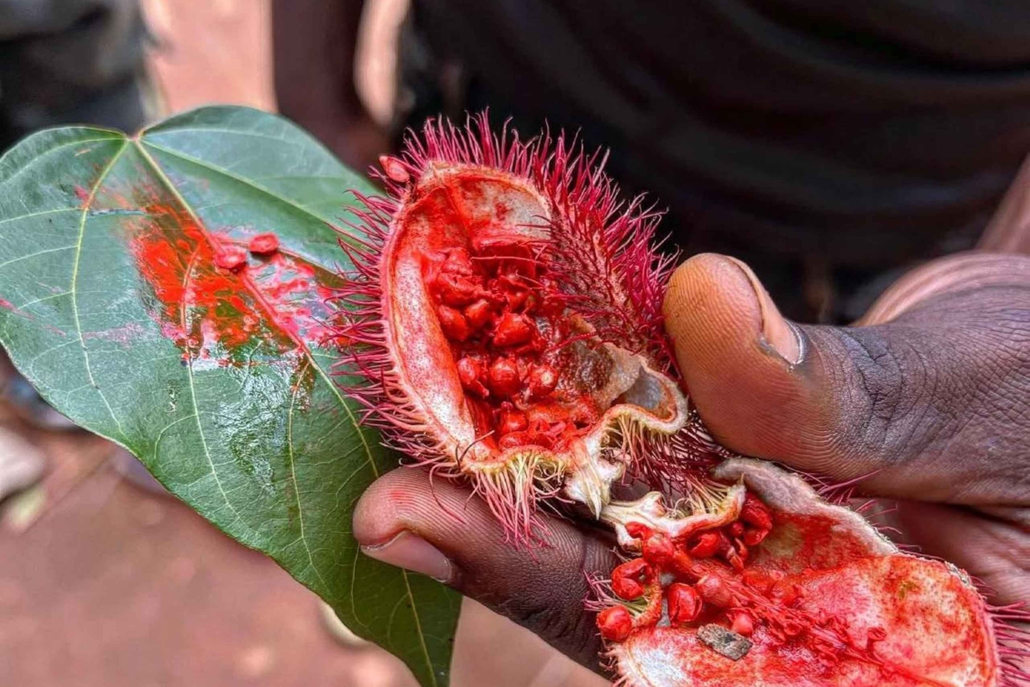 ザンジバル スパイスツアー＆クッキングクラス（ランチ付き・送迎込み）