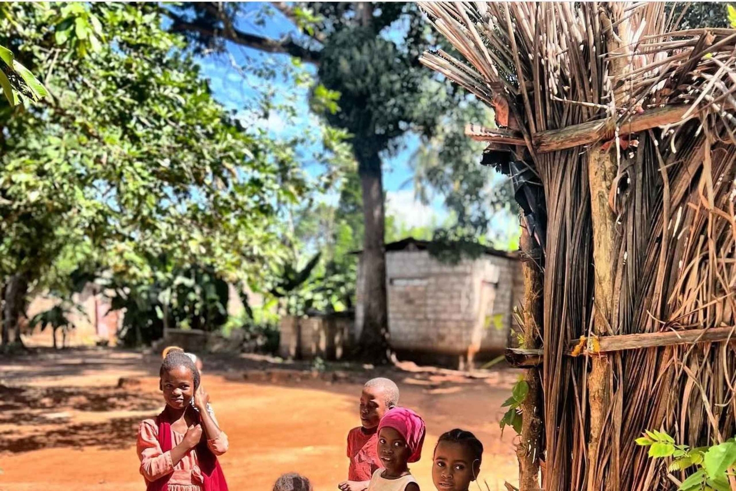 ザンジバル スパイスツアー＆クッキングクラス（ランチ付き・送迎込み）