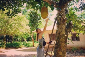 ザンジバル スパイスツアー＆クッキングクラス（ランチ付き・送迎込み）