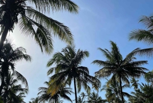 ザンジバル スパイスツアー＆クッキングクラス（ランチ付き・送迎込み）