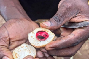 ザンジバル スパイスツアー＆クッキングクラス（ランチ付き・送迎込み）
