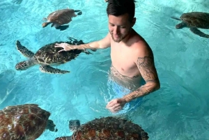 ザンジバル：スパイスツアー、ジョザニの森、サラムの洞窟、ザ・ロックをご覧ください