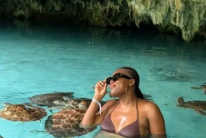 ザンジバル：スパイスツアー、ジョザニの森、サラムの洞窟、ザ・ロックをご覧ください