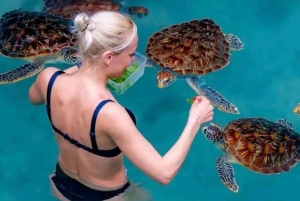 ザンジバル：スパイスツアー、ジョザニの森、サラムの洞窟、ザ・ロックをご覧ください