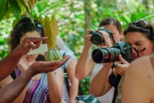 Zanzibar: tour delle spezie, Stone Town e riserva delle tartarughe marine