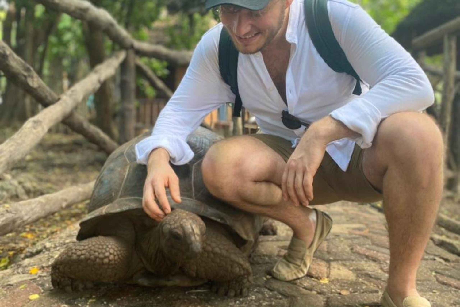 Sansibar: Gewürztour, Stone Town Tour & Gefängnisinsel