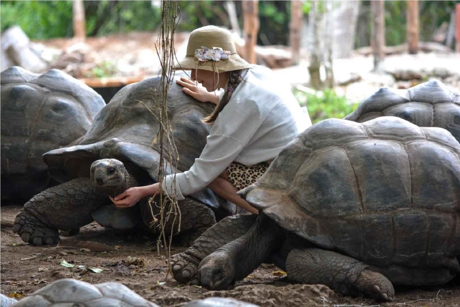 Zanzibar: Tour das especiarias e da Cidade de Pedra