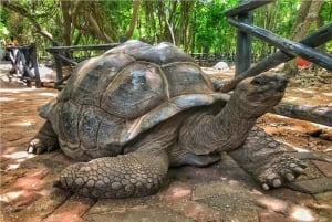 Zanzibar: Tour das especiarias e da Cidade de Pedra