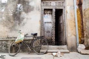 Zanzibar: Kruidentour & wandeltour door Stone Town