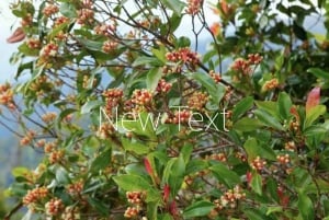 Zanzibar: maustekierros, ruoanlaittokurssi ja kylävierailu