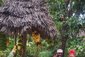 Zanzibar: tour delle spezie con pranzo