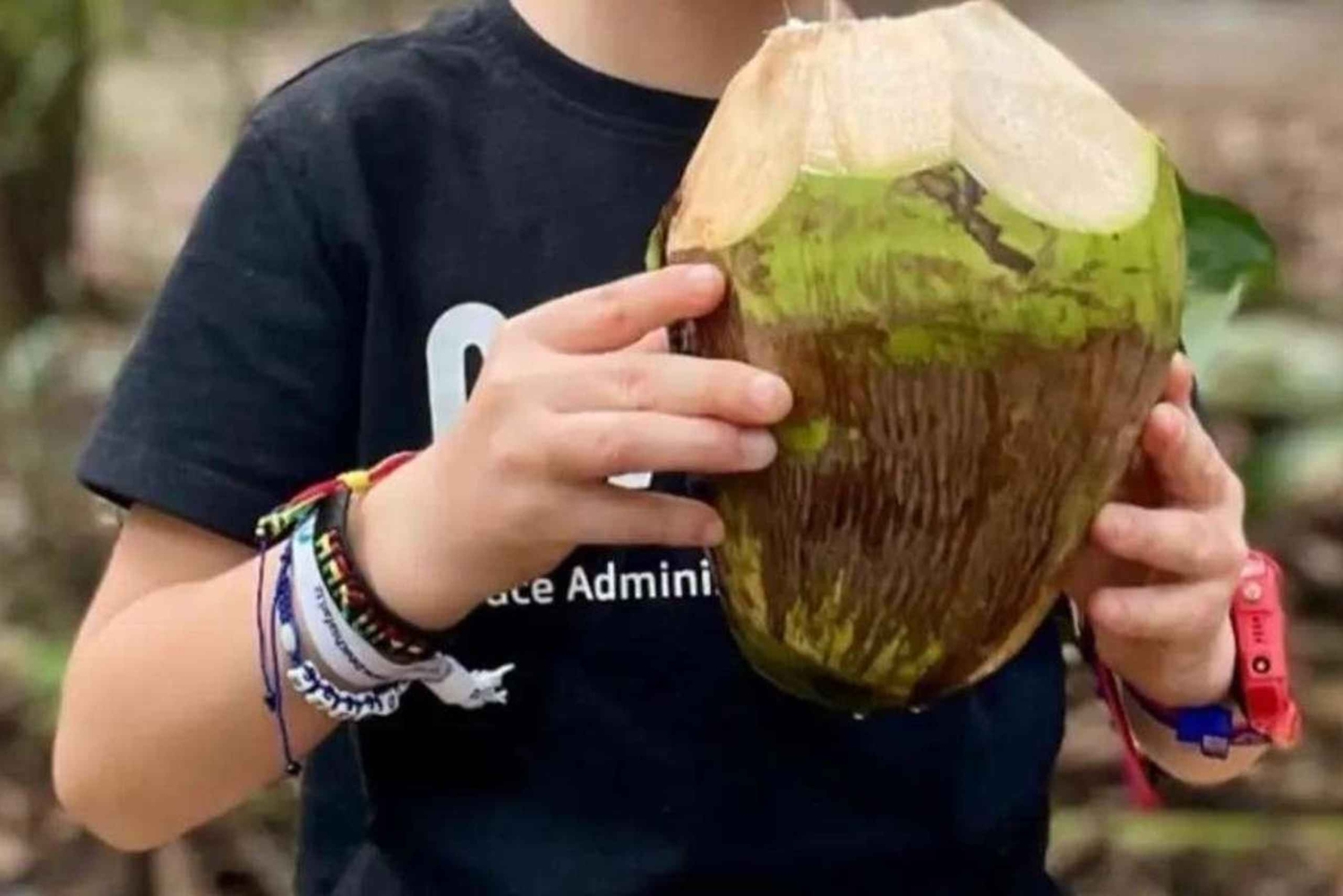 Zanzibar: Kryddtur med traditionell matlagningskurs