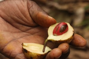 Zanzibar Kruidentocht