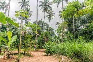 Zanzibar: Spice Tour