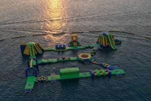 Zanzibar: Mnemba båttur og delfin, snorkling med grilling lunsj