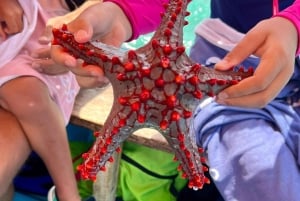 Zanzíbar: estrellas de mar, la laguna Azul y visita al restaurante The Rock