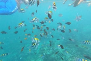 Zanzíbar: estrellas de mar, la laguna Azul y visita al restaurante The Rock