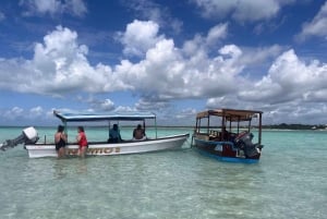 Zanzíbar: estrellas de mar, la laguna Azul y visita al restaurante The Rock