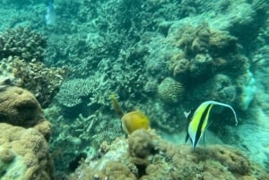 Zanzíbar: estrellas de mar, la laguna Azul y visita al restaurante The Rock