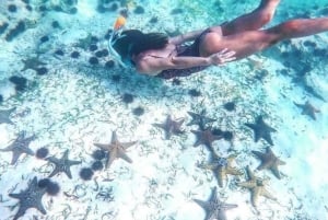 Zanzibar: estrelas-do-mar, Lagoa Azul, Borboletas e Floresta de Jozani