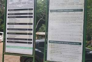 Zanzibar: estrelas-do-mar, Lagoa Azul, Borboletas e Floresta de Jozani