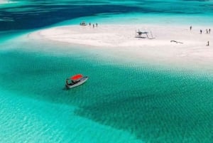 Zanzibar: estrelas-do-mar, Lagoa Azul, Borboletas e Floresta de Jozani